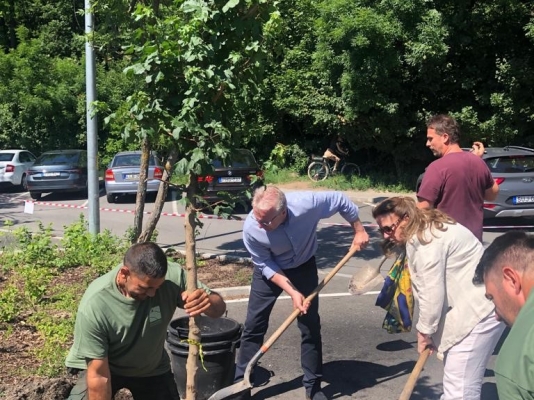 Embajadores de América Latina siembran árboles en el parque Normafa de Budapest