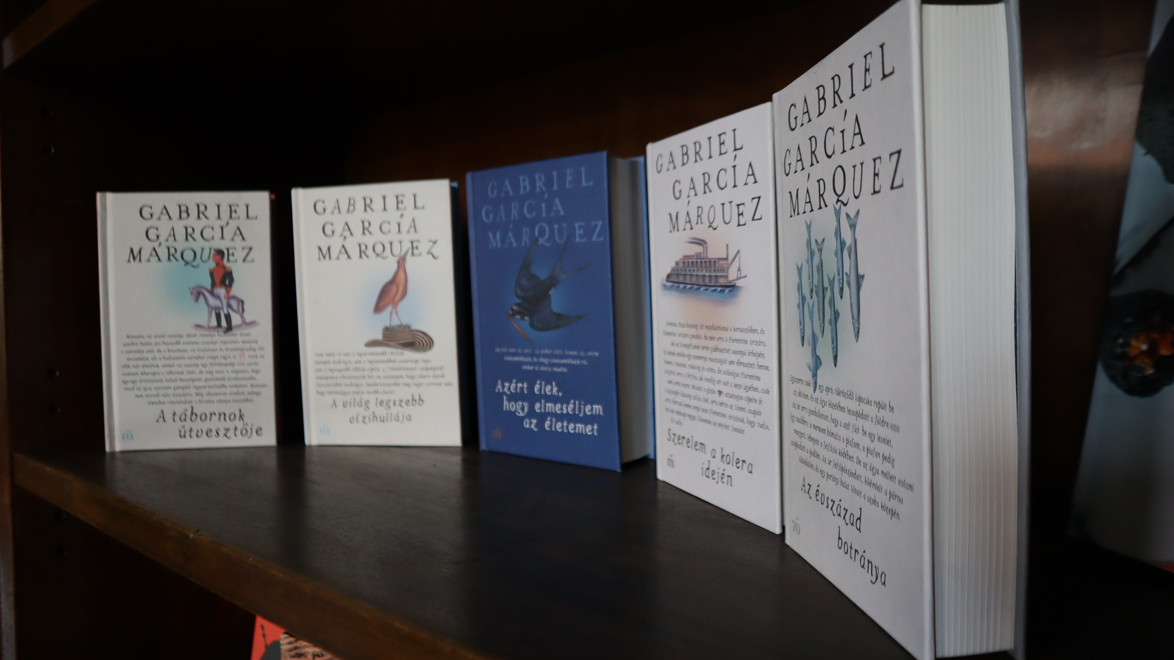 Colombia deja su huella literaria en Hungría: Embajada donó colección de autores colombianos a reconocida biblioteca de Budapest