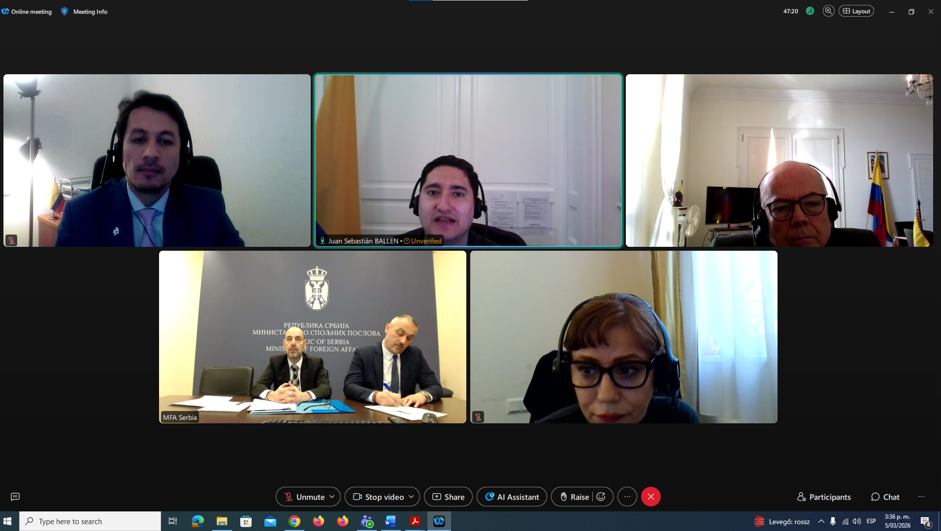 Captura de pantalla de la reunión virtual