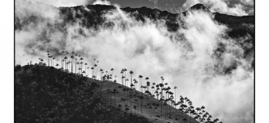 La Embajada de Colombia en Hungría inauguró la exposición ‘País, homenaje en blanco y negro’ de Fernando Cano