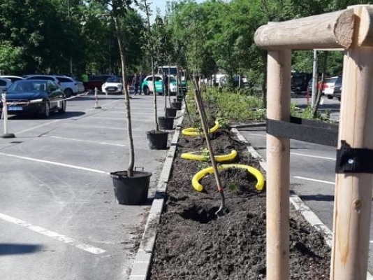Embajadores de América Latina siembran árboles en el parque Normafa de Budapest